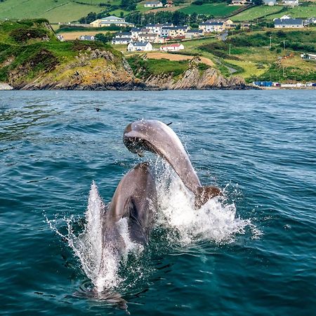 Realt Na Mara Villa Killybegs Bagian luar foto